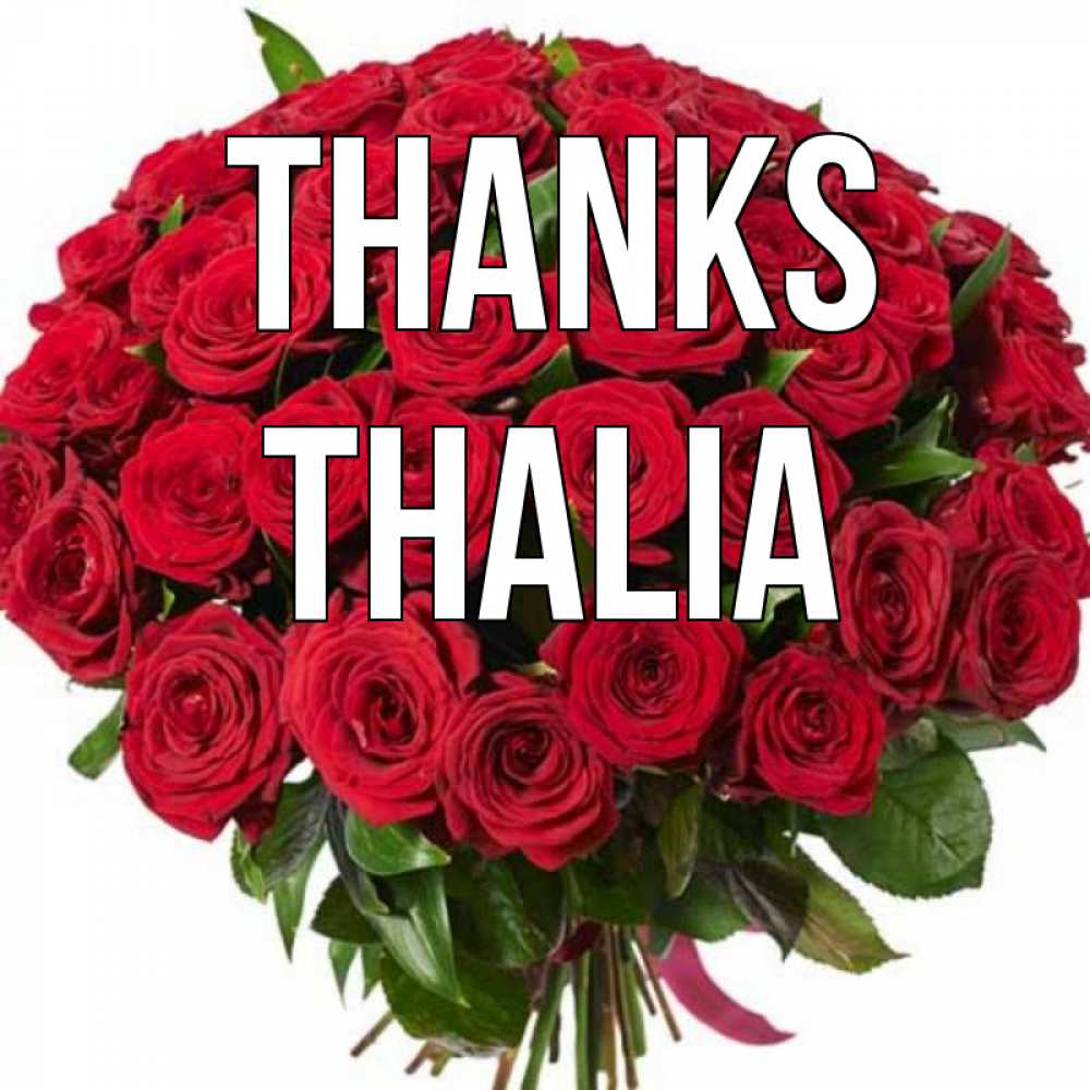 Greetings card с именем, Thalia Thanks букет красных роз Greetings with text for free download 
