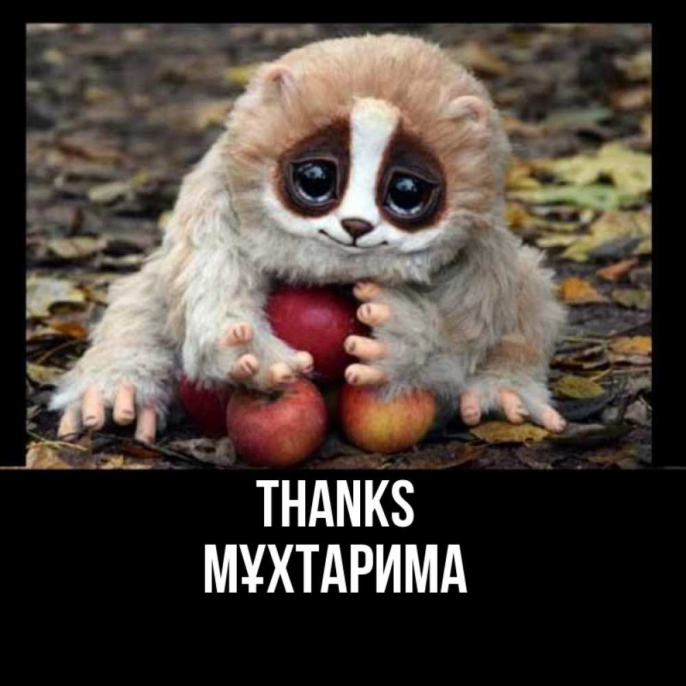 Greetings card с именем, МҰХТАРИМА Thanks прикольное животное Greetings with text for free download 