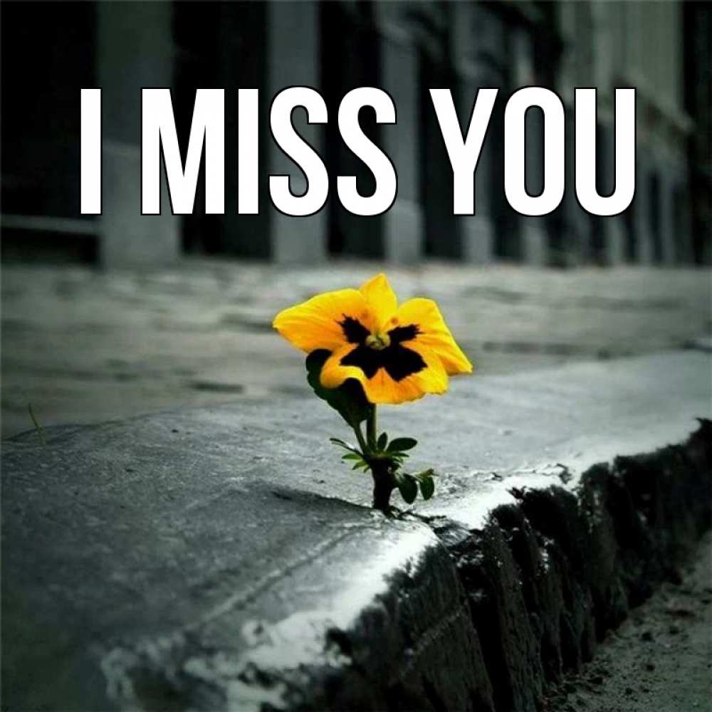 Greetings card с именем, выберите-имя I miss you надеюсь будет лучше Greetings with text for free download 