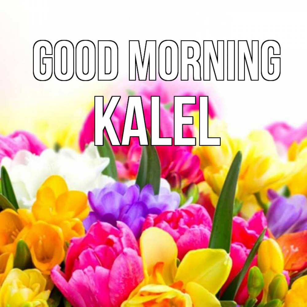 Greetings card с именем, Kalel Good morning создать открытку со свое подписью Greetings with text for free download 