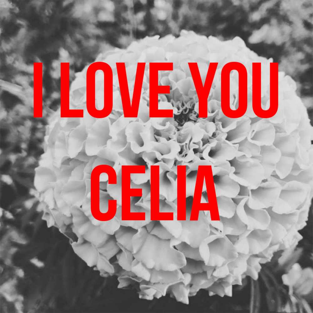 Greetings card с именем, Celia I love you подпись Greetings with text for free download 