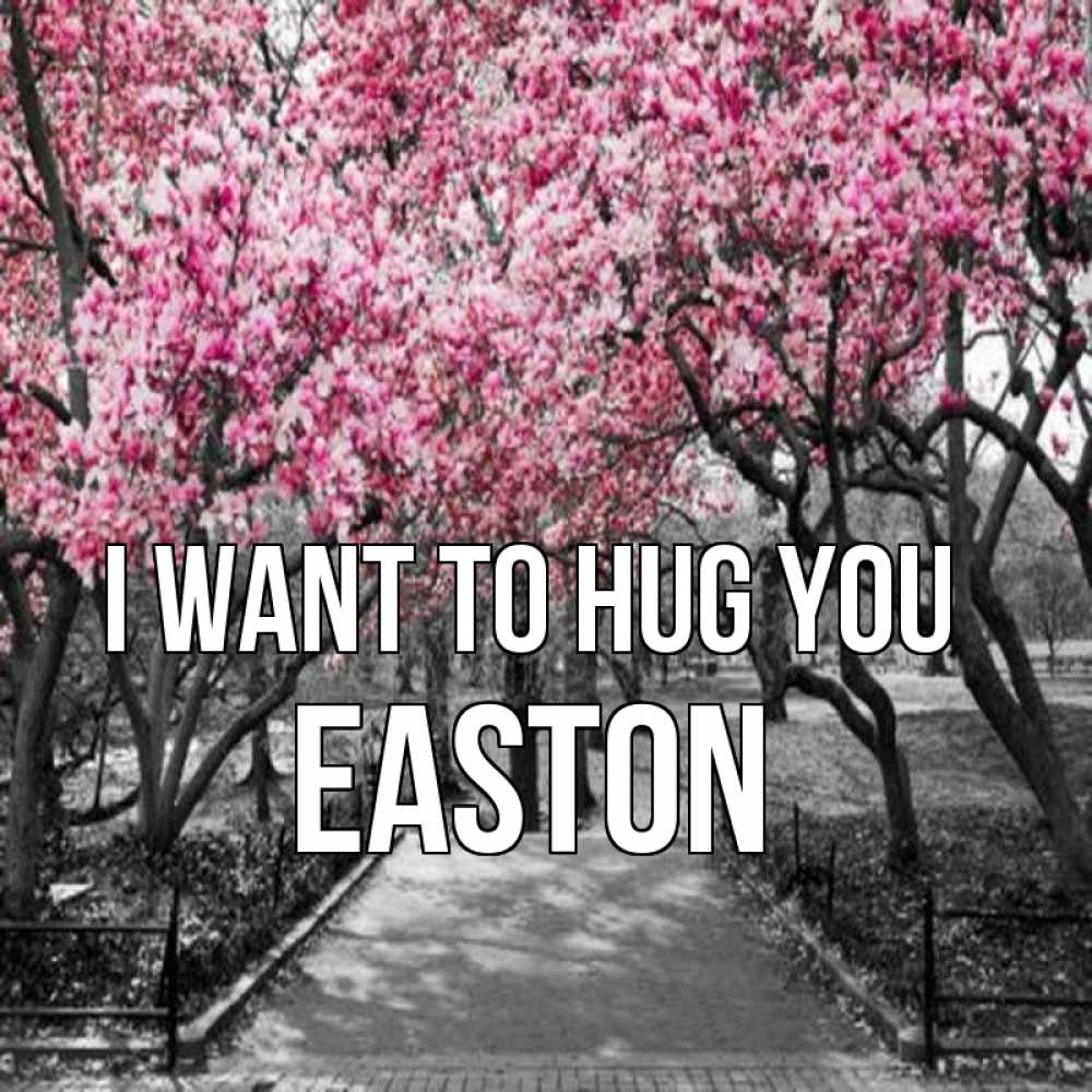 Greetings card с именем, Easton I want to hug you обработанное фото Greetings with text for free download 