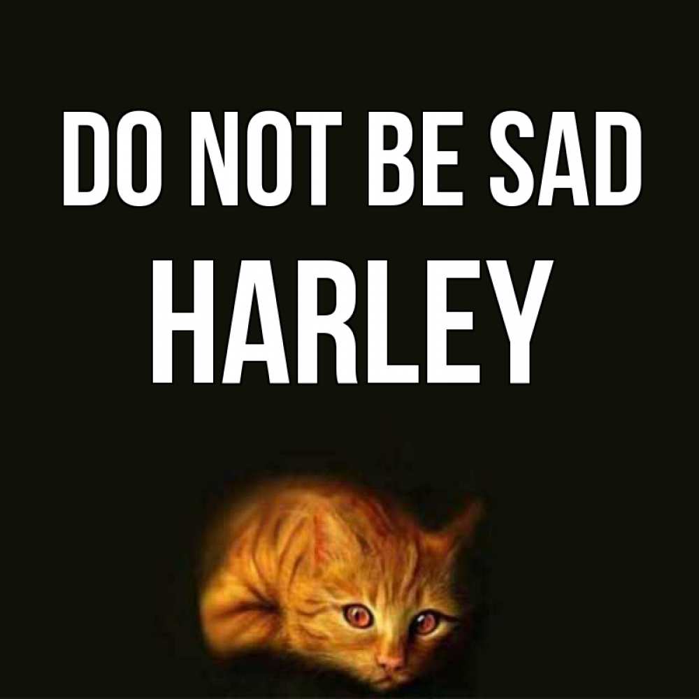 Greetings card с именем, Harley Do not be sad лежащий кот в темноте Greetings with text for free download 