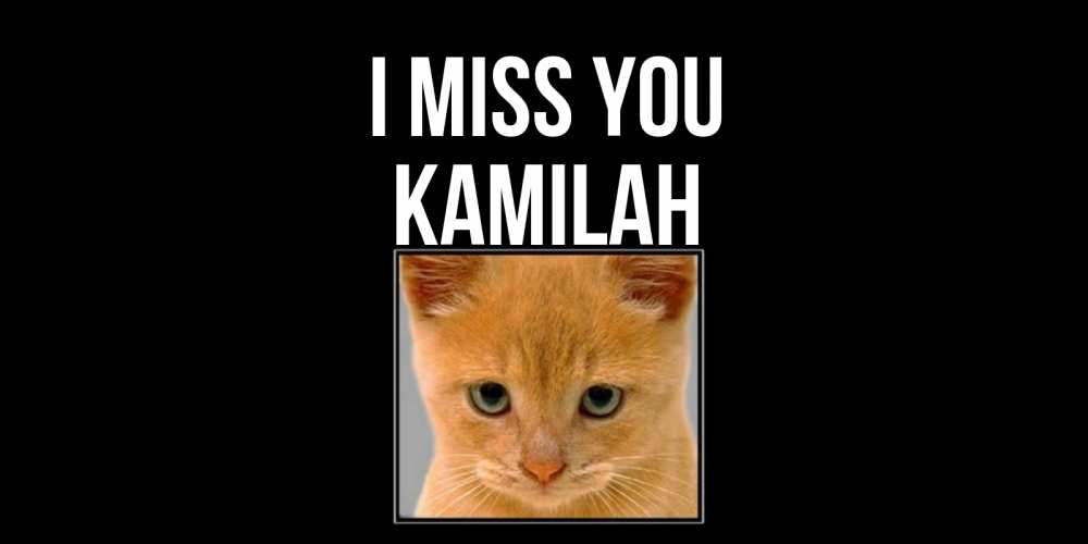Greetings card с именем, Kamilah I miss you открытки рыжий котенок скучает по тебе Greetings with text for free download 