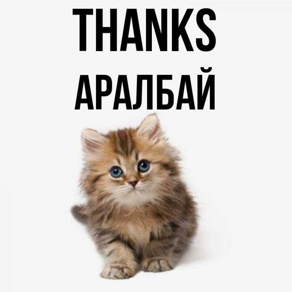 Greetings card с именем, Аралбай Thanks пушистый котик Greetings with text for free download 