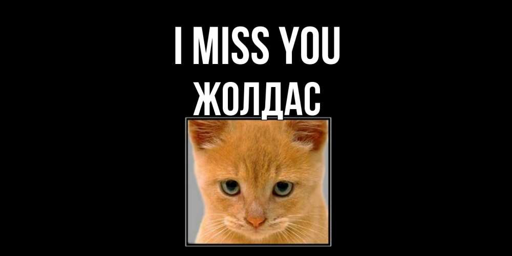 Greetings card с именем, Жолдас I miss you открытки рыжий котенок скучает по тебе Greetings with text for free download 