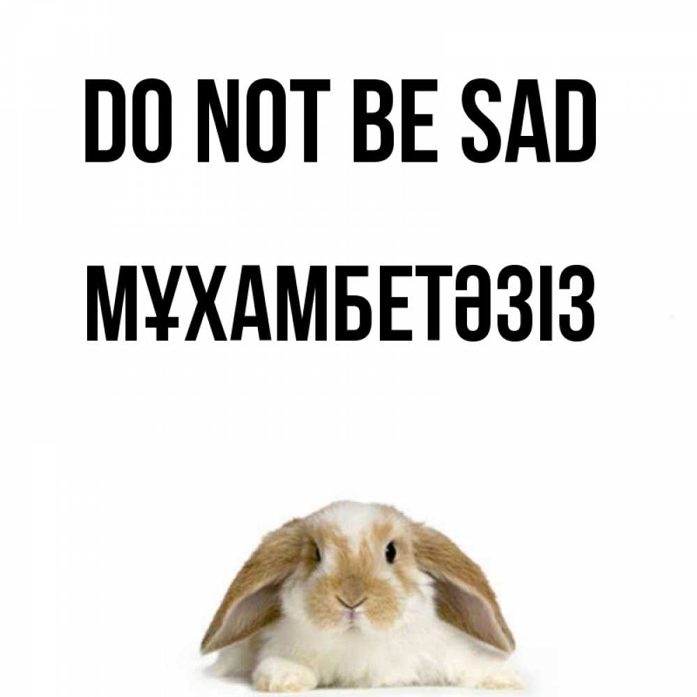 Greetings card с именем, МҰХАМБЕТӘЗІЗ Do not be sad коричнево белый заяц с большими ушками Greetings with text for free download 