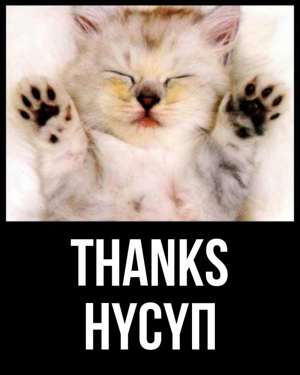 Greetings card с именем, НҮСҮП Thanks маленький котенок Greetings with text for free download 