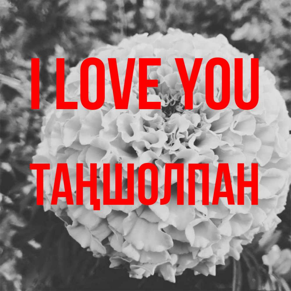 Greetings card с именем, ТАҢШОЛПАН I love you подпись Greetings with text for free download 