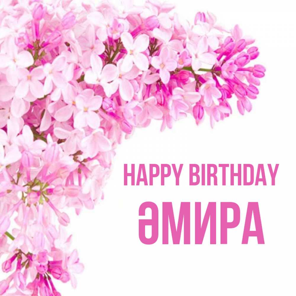 Greetings card с именем, ӘМИРА Happy Birthday Сирень на белом фоне Greetings with text for free download 