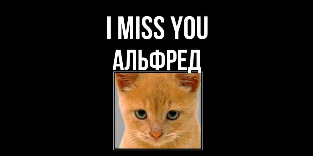 Greetings card с именем, Альфред I miss you открытки рыжий котенок скучает по тебе Greetings with text for free download 