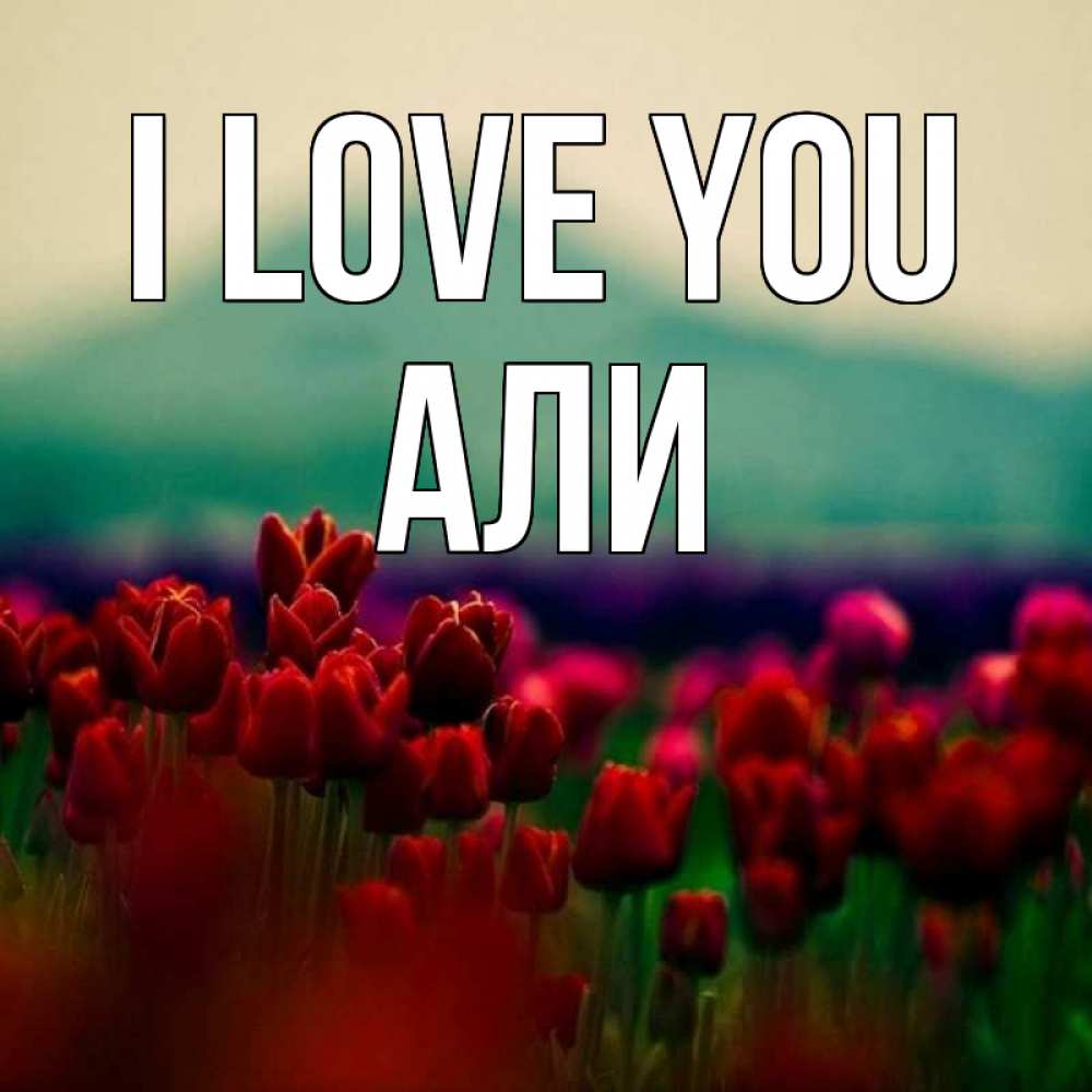 Greetings card с именем, Али I love you тюльпаны 4 Greetings with text for free download 