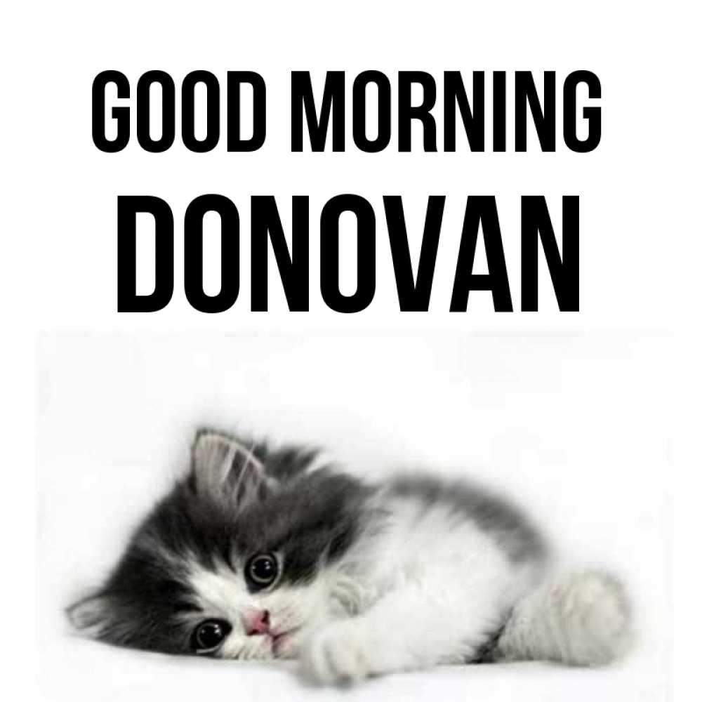 Greetings card с именем, Donovan Good morning кот лапки Greetings with text for free download 