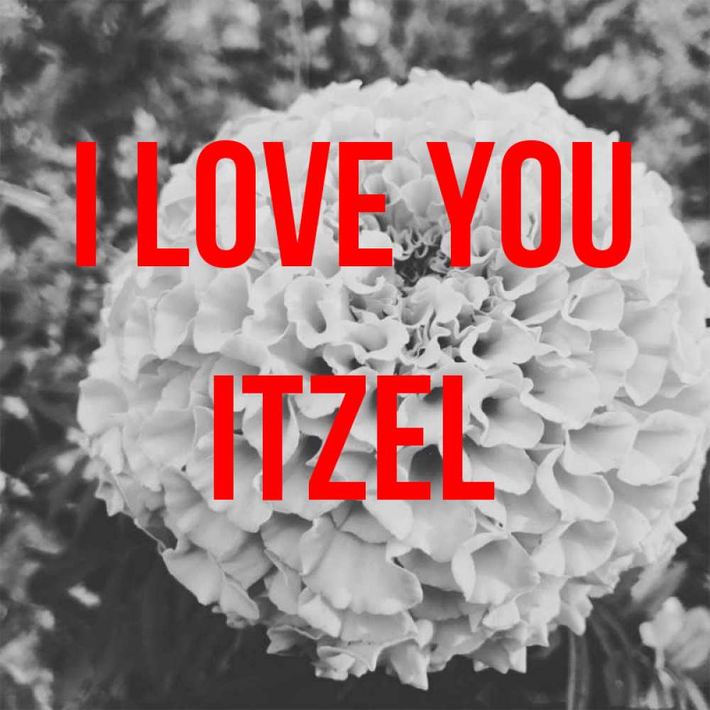Greetings card с именем, Itzel I love you подпись Greetings with text for free download 
