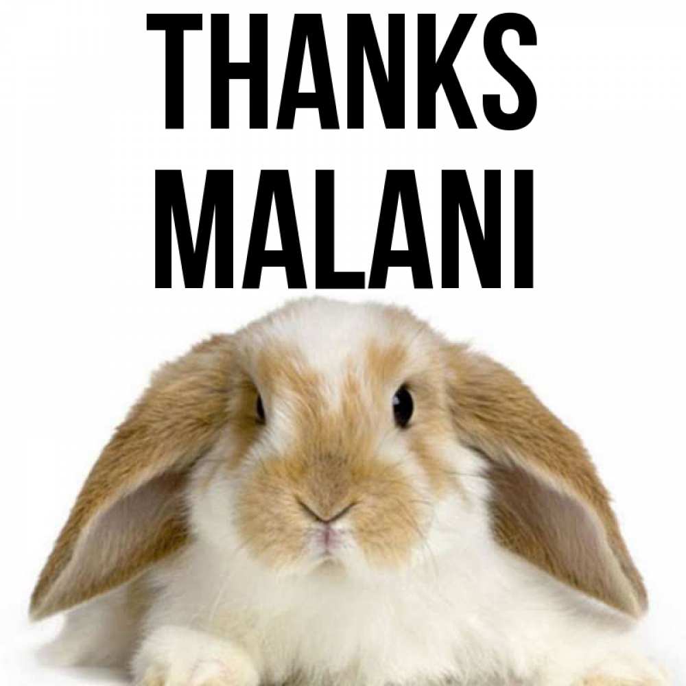 Greetings card с именем, Malani Thanks коричнево белый заяц Greetings with text for free download 