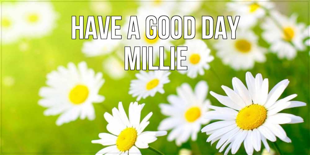 Greetings card с именем, Millie Have a good day открытка с ромашками на зеленом фоне Greetings with text for free download 