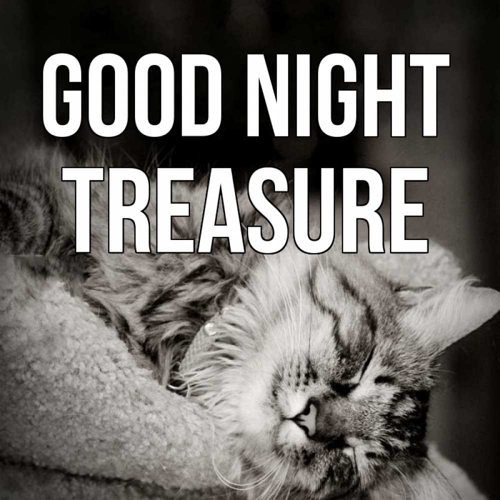 Greetings card с именем, Treasure Good night котярик пушистый Greetings with text for free download 