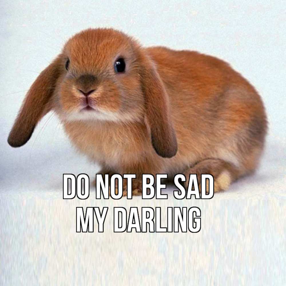 Greetings card с именем, my-darling Do not be sad вислоухий рыжий кролик Greetings with text for free download 