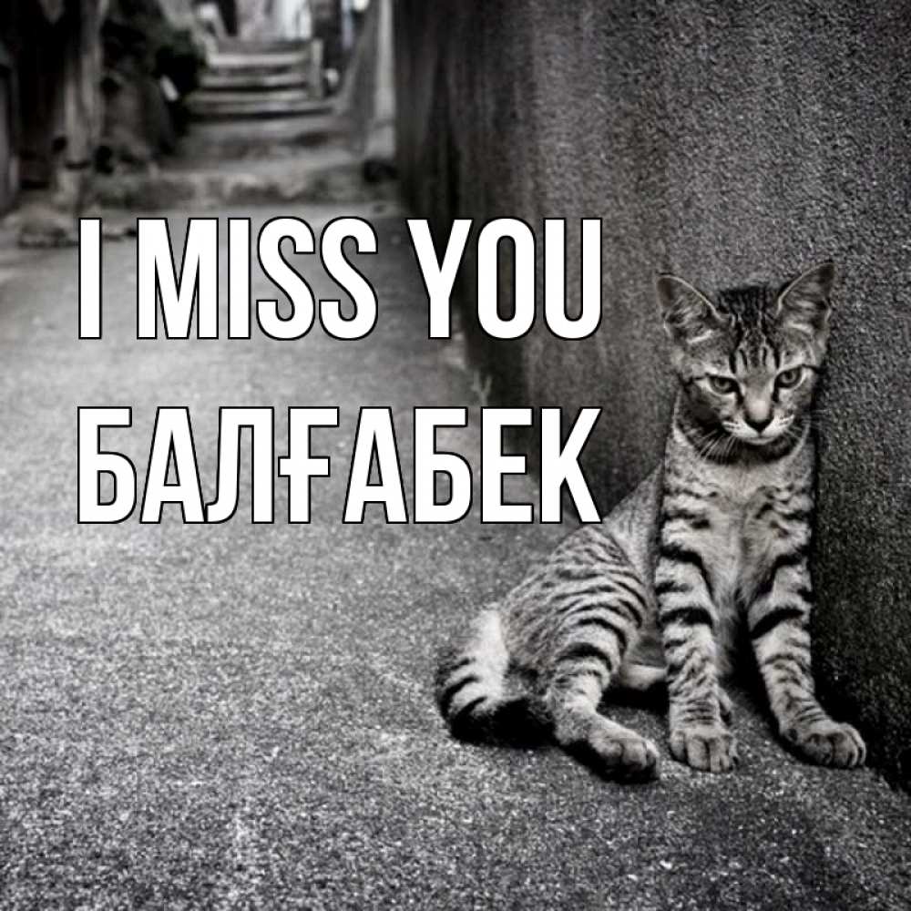 Greetings card с именем, Балғабек I miss you одиноко котику Greetings with text for free download 