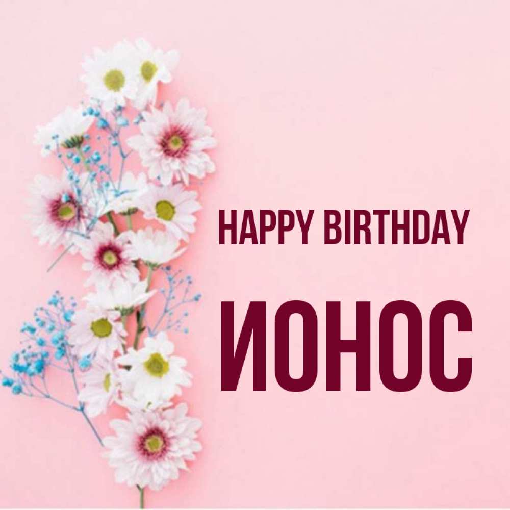 Greetings card с именем, Ионос Happy Birthday Родная моя с днем рождения тебя картинка с цветами белыми и голубыми Greetings with text for free download 