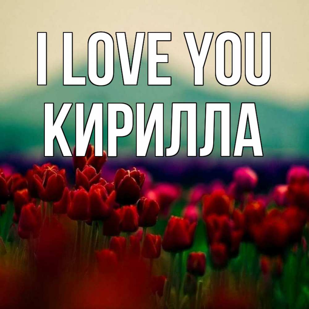 Greetings card с именем, Кирилла I love you тюльпаны 4 Greetings with text for free download 