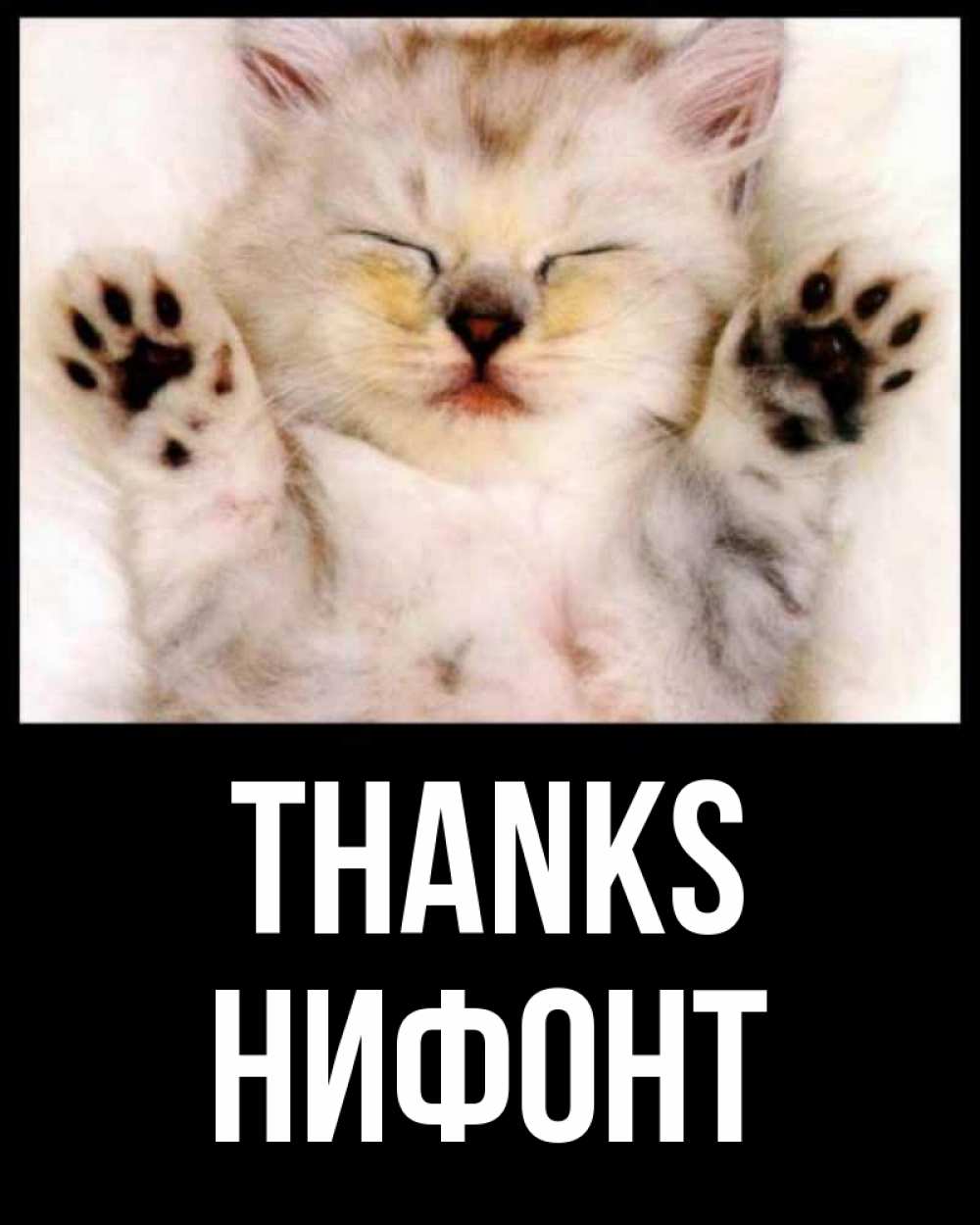 Greetings card с именем, Нифонт Thanks маленький котенок Greetings with text for free download 