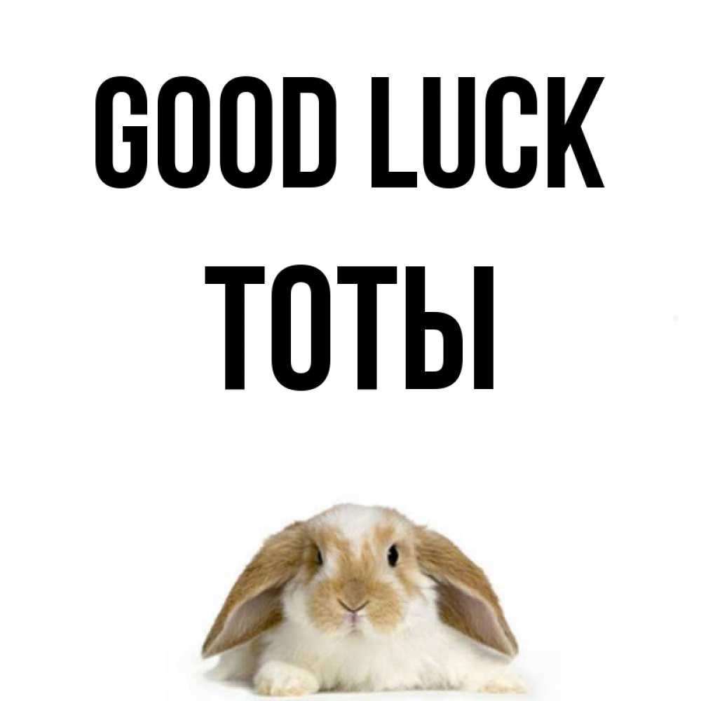 Greetings card с именем, ТОТЫ Good luck открытки с произвольным текстом который можно вставить в открытку и создать ее самостоятельно бесплатно онлайн Greetings with text for free download 