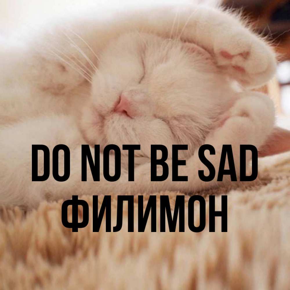 Greetings card с именем, Филимон Do not be sad Котенок спит Greetings with text for free download 