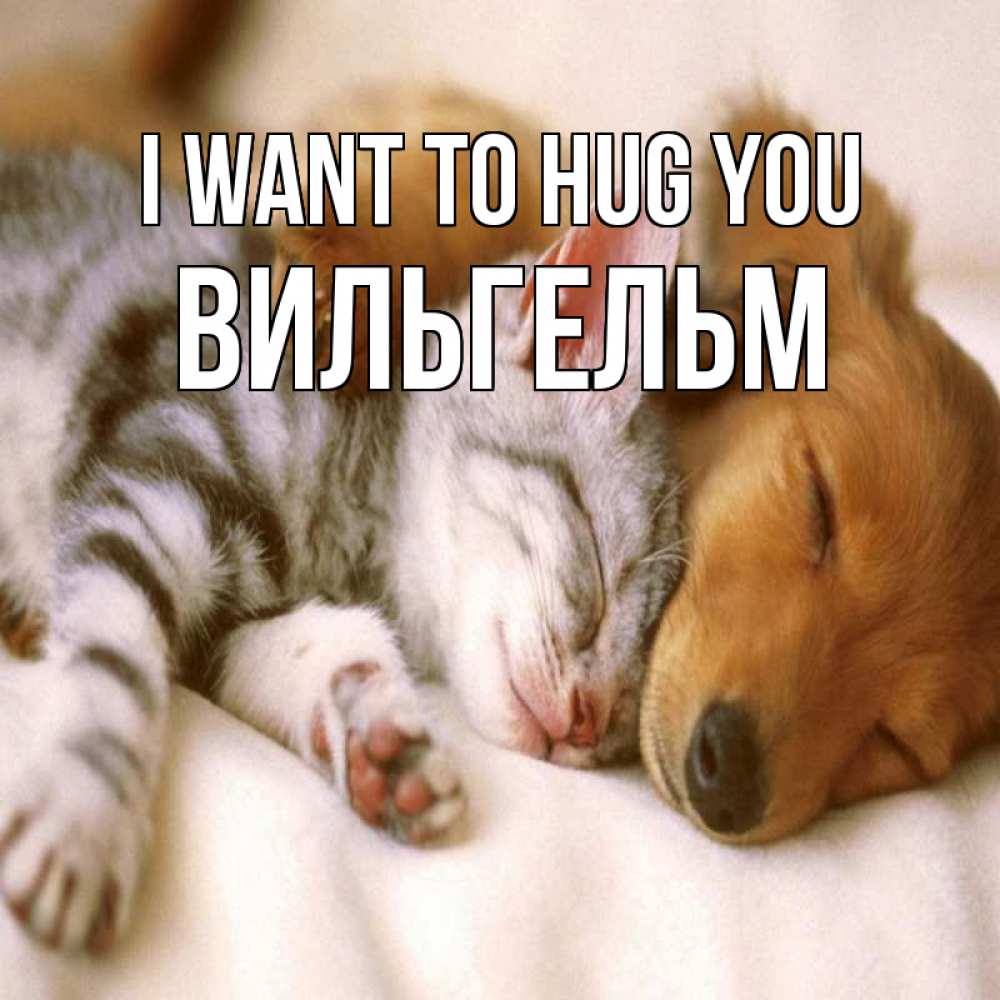 Greetings card с именем, Вильгельм I want to hug you пес и котенок Greetings with text for free download 