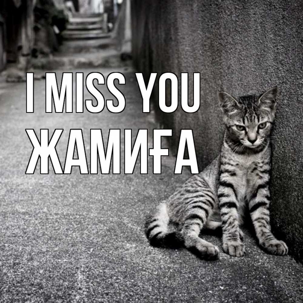 Greetings card с именем, ЖАМИҒА I miss you одиноко котику Greetings with text for free download 
