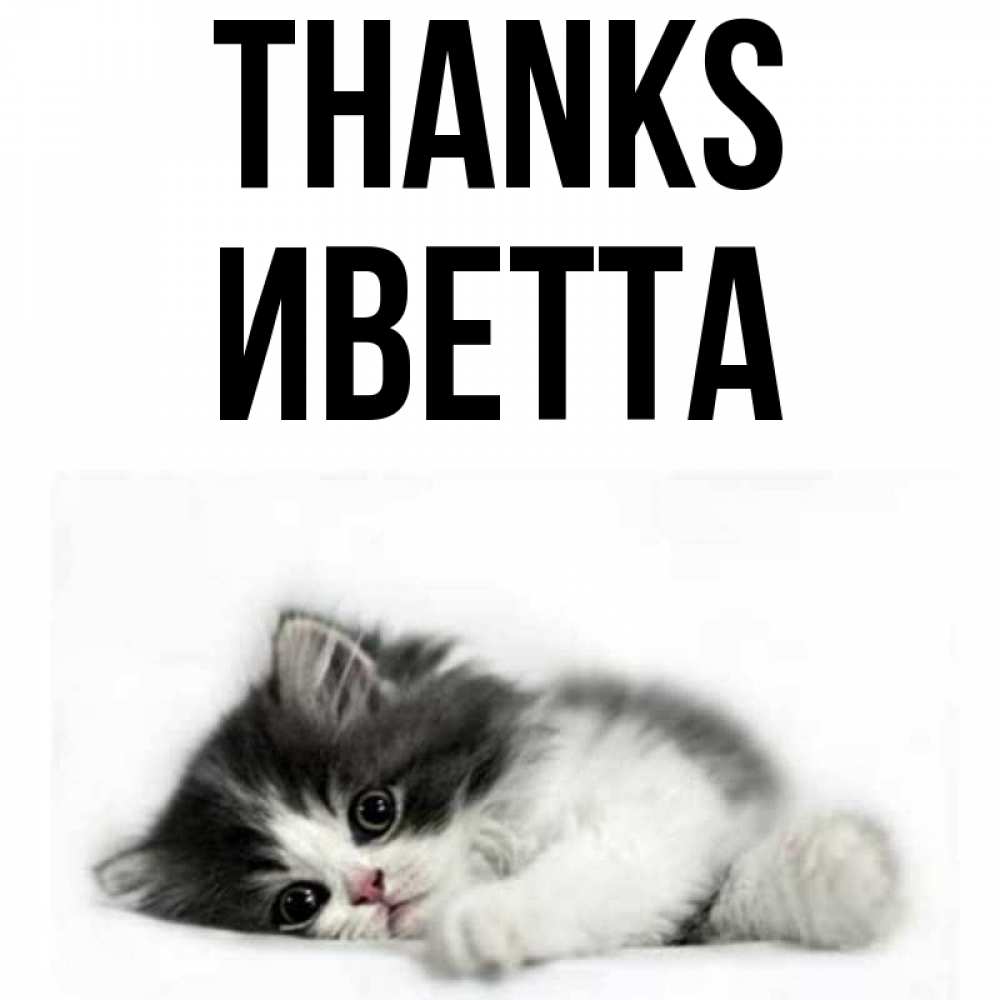 Greetings card с именем, Иветта Thanks черный и белый кот Greetings with text for free download 