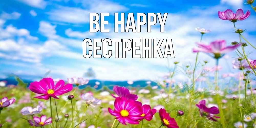 Greetings card с именем, Сестренка Be happy поле цветов Greetings with text for free download 