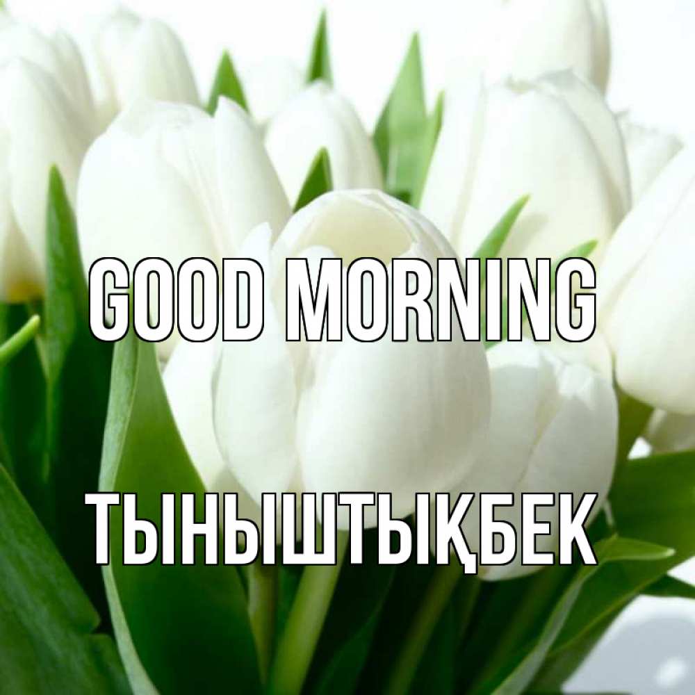 Greetings card с именем, ТЫНЫШТЫҚБЕК Good morning открытки на каждый день по именам Greetings with text for free download 
