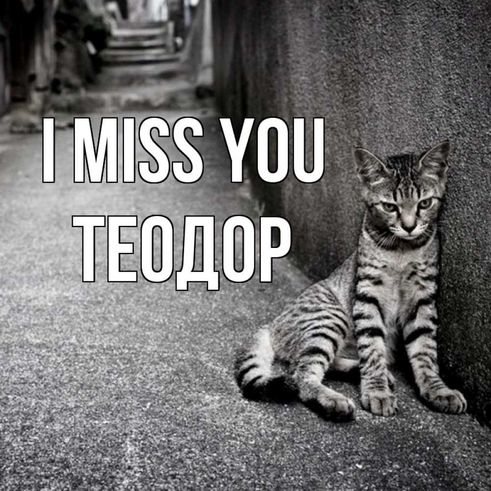 Greetings card с именем, Теодор I miss you одиноко котику Greetings with text for free download 