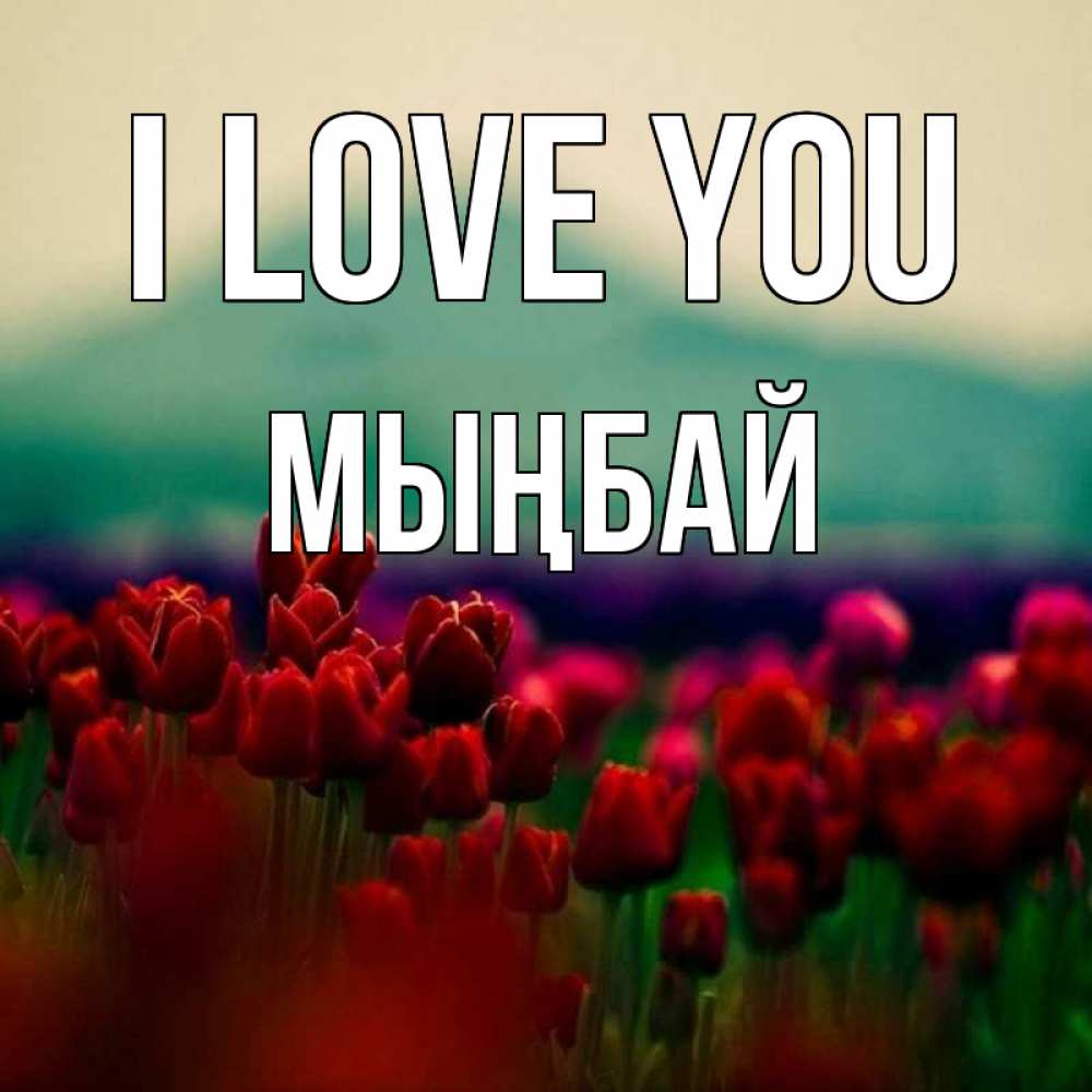 Greetings card с именем, МЫҢБАЙ I love you тюльпаны 4 Greetings with text for free download 