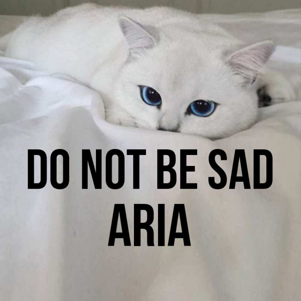 Greetings card с именем, Aria Do not be sad Голубоглазая кошка Greetings with text for free download 