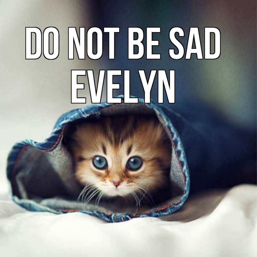 Greetings card с именем, Evelyn Do not be sad рыжик котик Greetings with text for free download 
