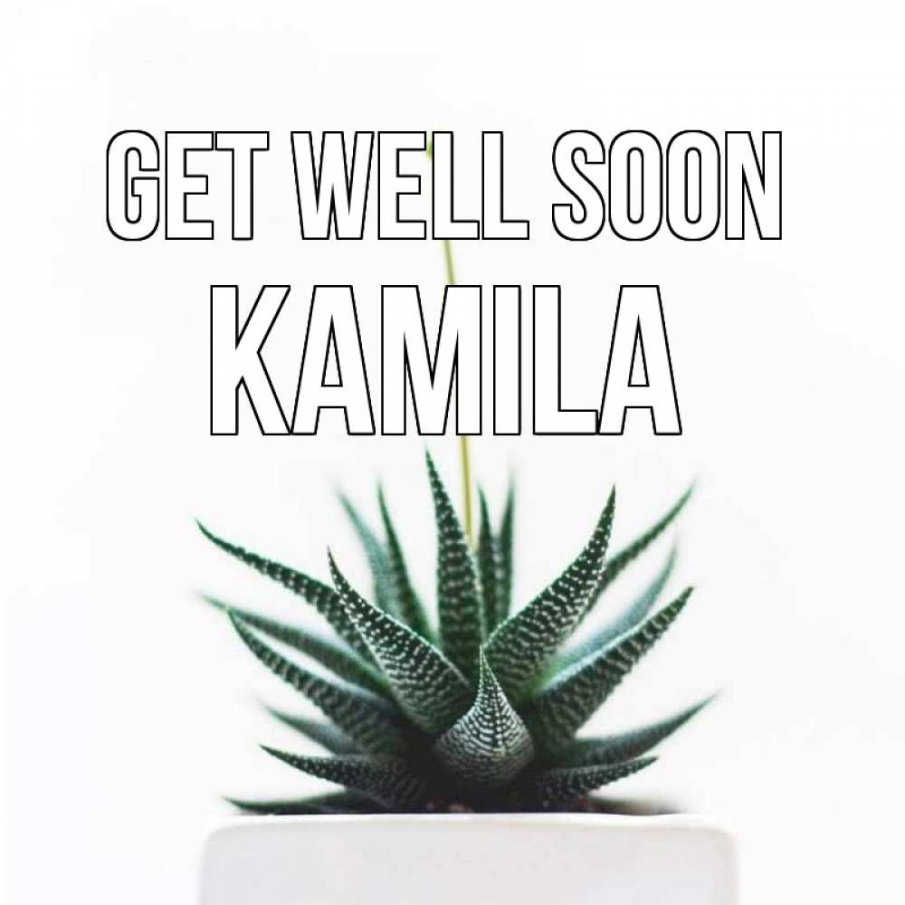 Greetings card с именем, Kamila Get well soon короче это непонятная колючка Greetings with text for free download 