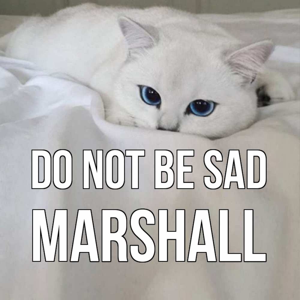 Greetings card с именем, Marshall Do not be sad белый кот с голубыми глазами на белоснежной кровати Greetings with text for free download 
