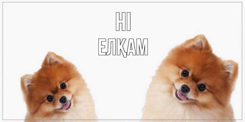 Greetings card с именем, Елқам Hi привет Greetings with text for free download 
