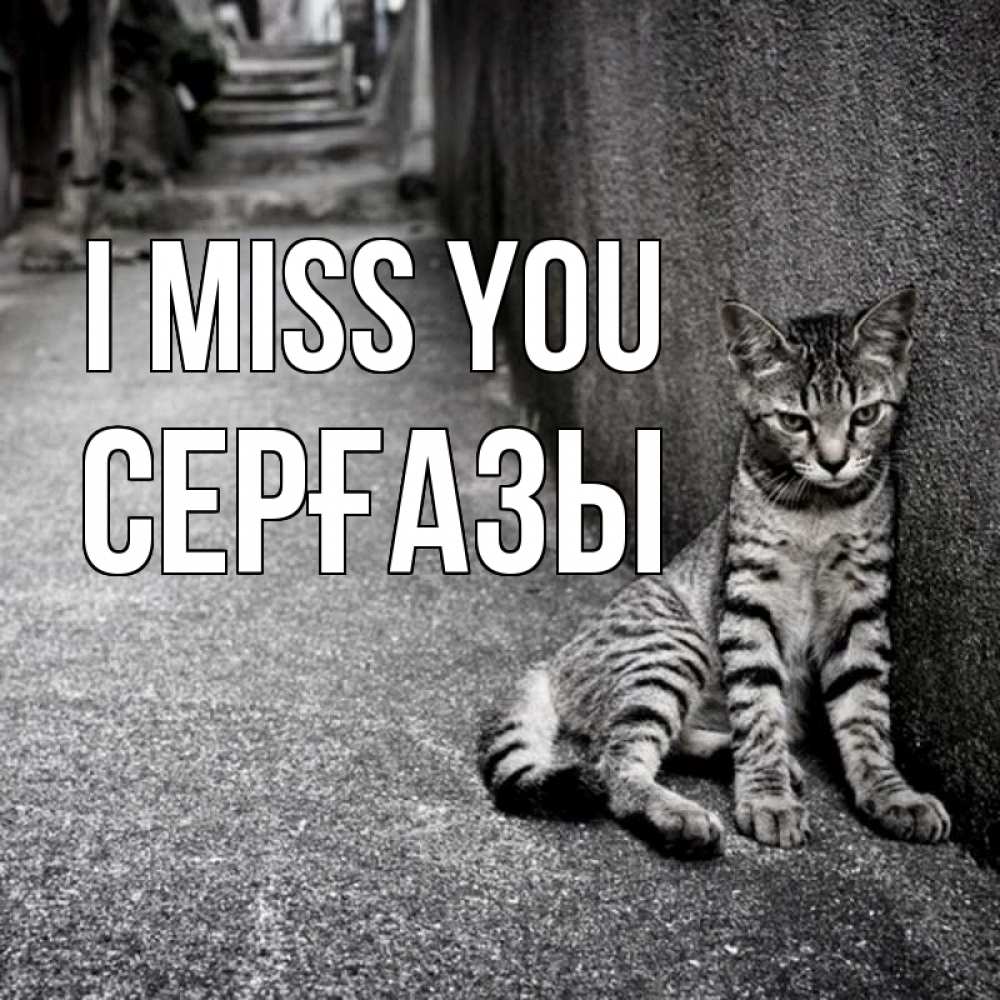 Greetings card с именем, СЕРҒАЗЫ I miss you одиноко котику Greetings with text for free download 