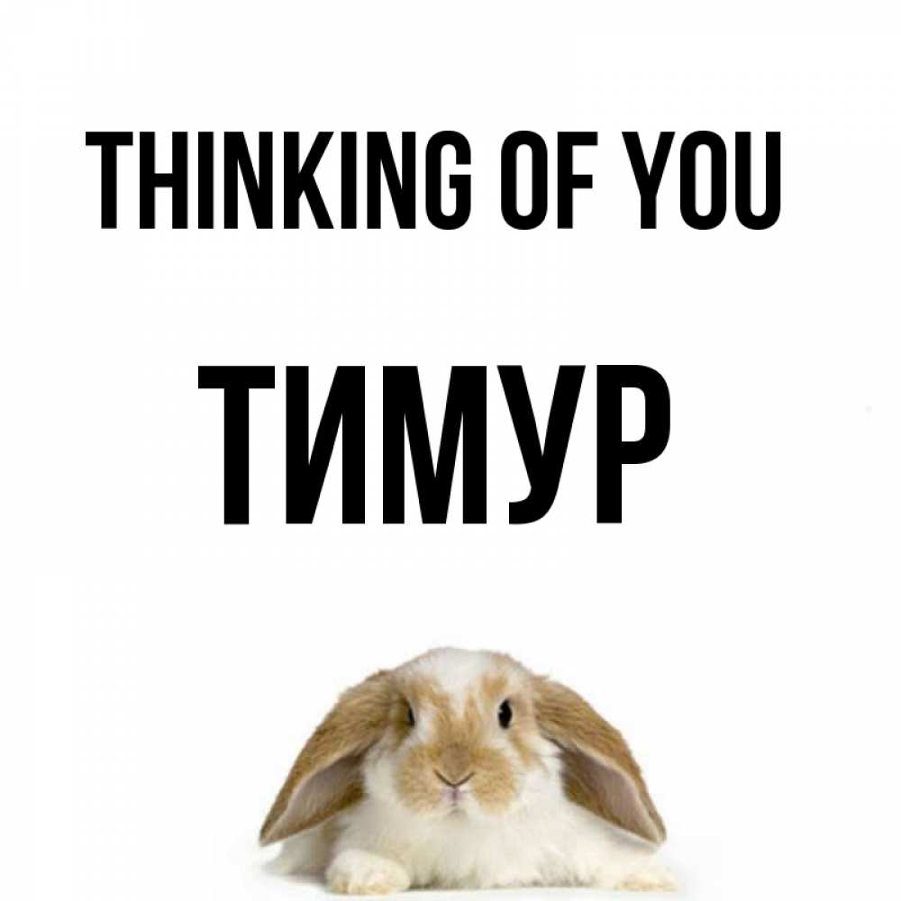 Greetings card с именем, Тимур Thinking of you подписать своими руками онлайн Greetings with text for free download 