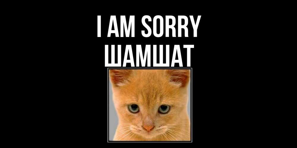Greetings card с именем, ШАМШАТ I am sorry рыжий грустный кот просит прощения Greetings with text for free download 