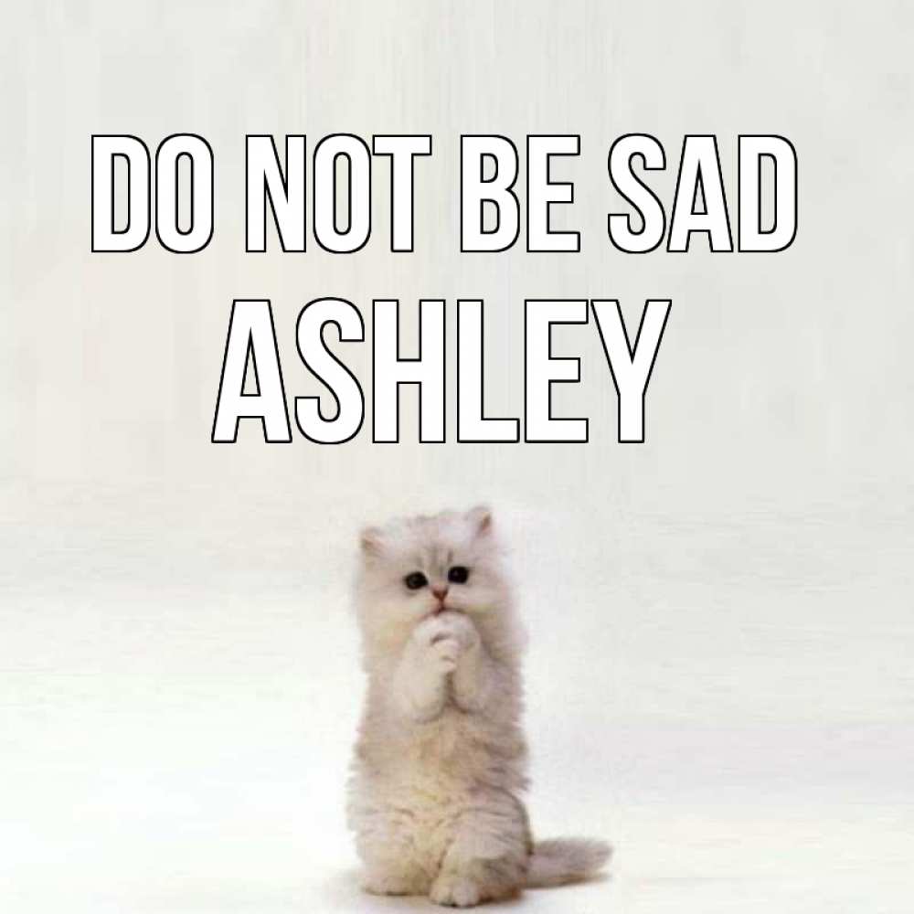 Greetings card с именем, Ashley Do not be sad грустный кот Greetings with text for free download 