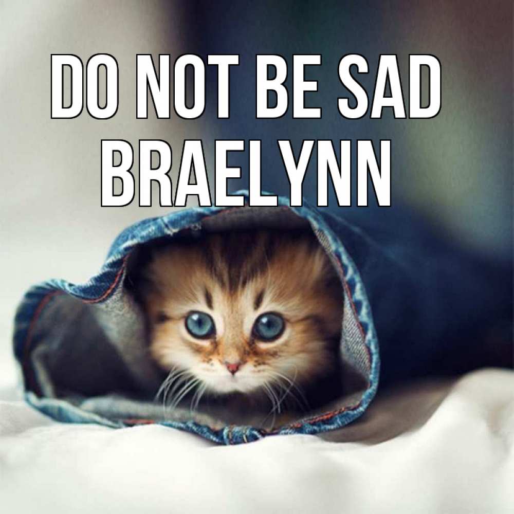 Greetings card с именем, Braelynn Do not be sad рыжик котик Greetings with text for free download 