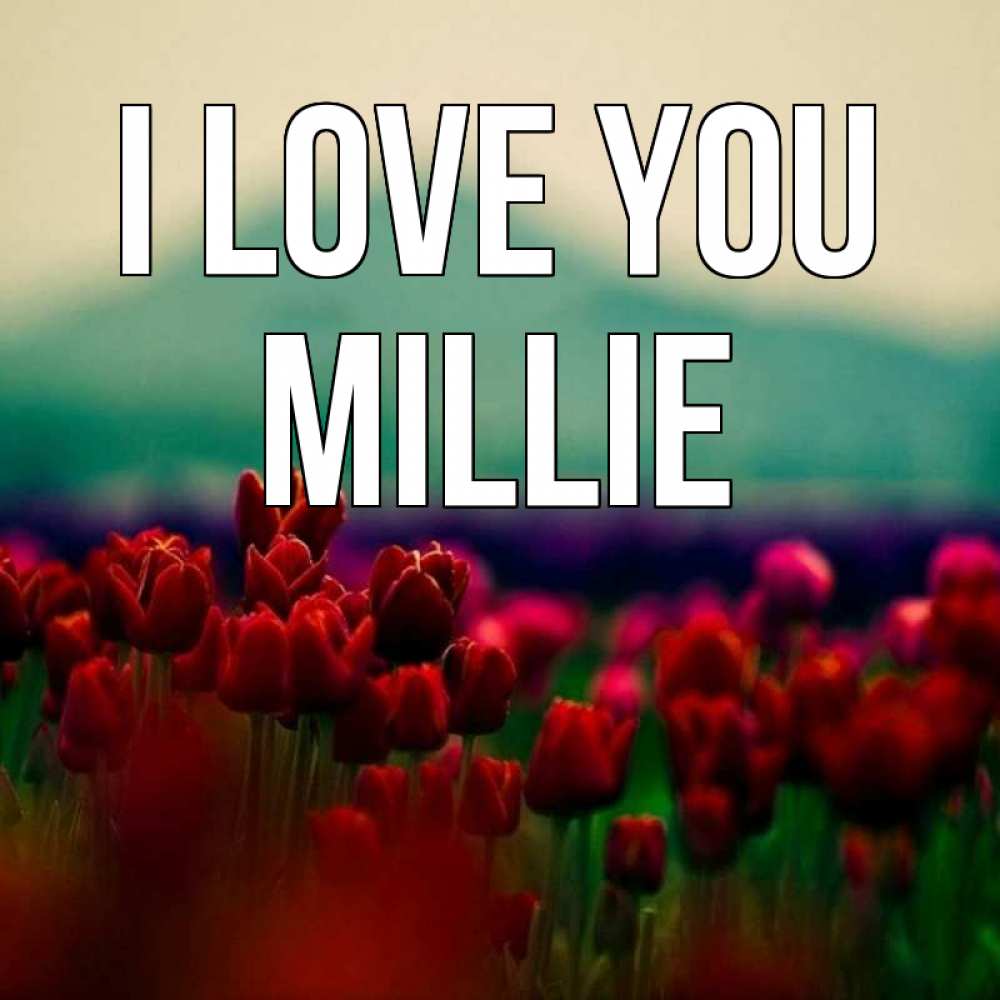 Greetings card с именем, Millie I love you тюльпаны 4 Greetings with text for free download 