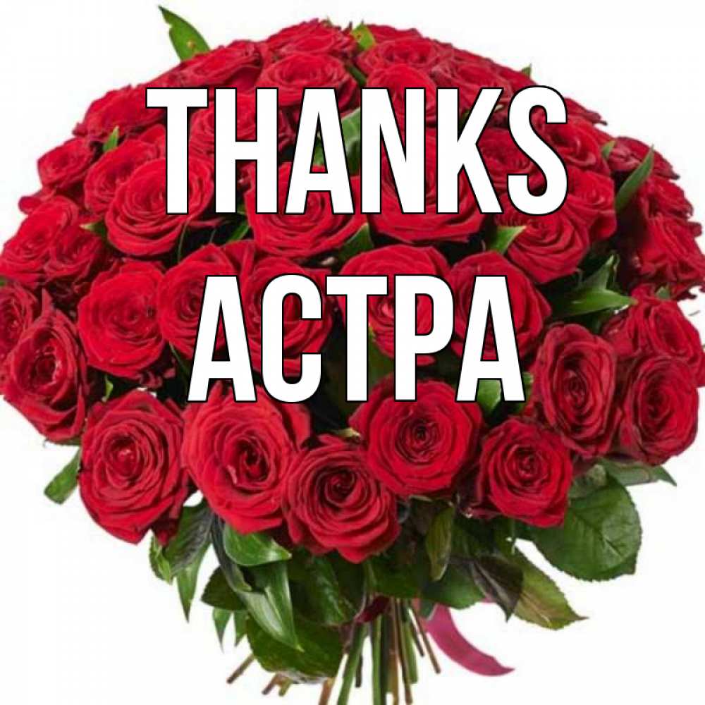 Greetings card с именем, Астра Thanks букет красных роз Greetings with text for free download 