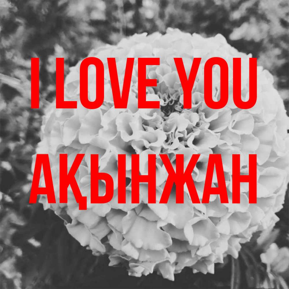 Greetings card с именем, Ақынжан I love you подпись Greetings with text for free download 