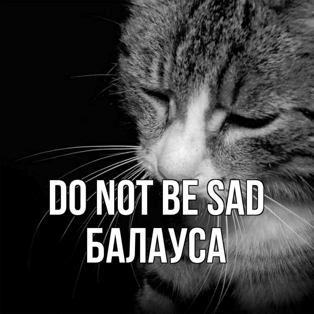 Greetings card с именем, БАЛАУСА Do not be sad грустный котик Greetings with text for free download 