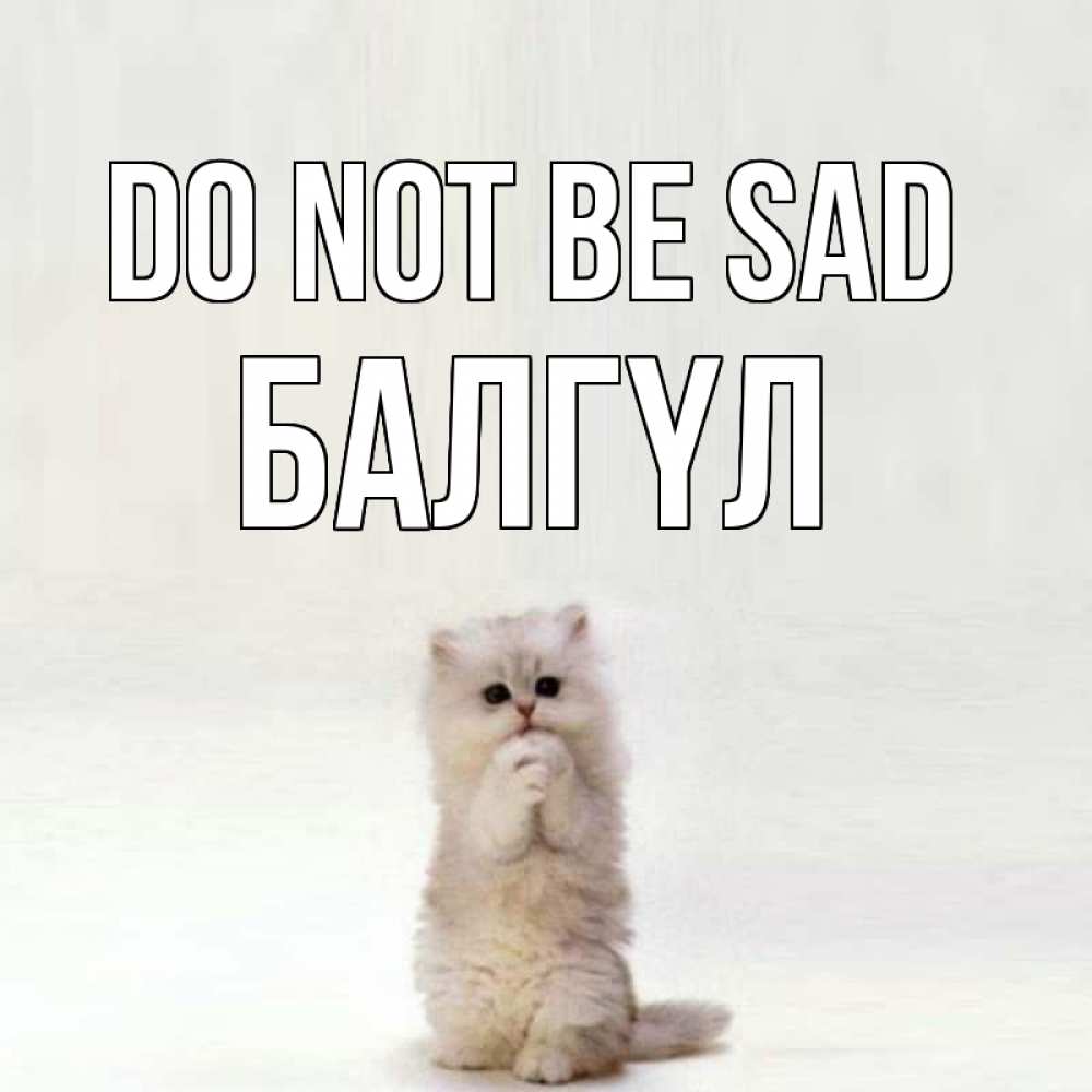 Greetings card с именем, БАЛГҮЛ Do not be sad грустный кот Greetings with text for free download 